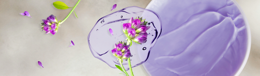 Bakuchiol - The natural substitute for retinol FREE of side effects