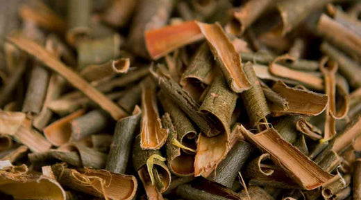 Benefits Of Salix Alba Bark Extract in Skincare